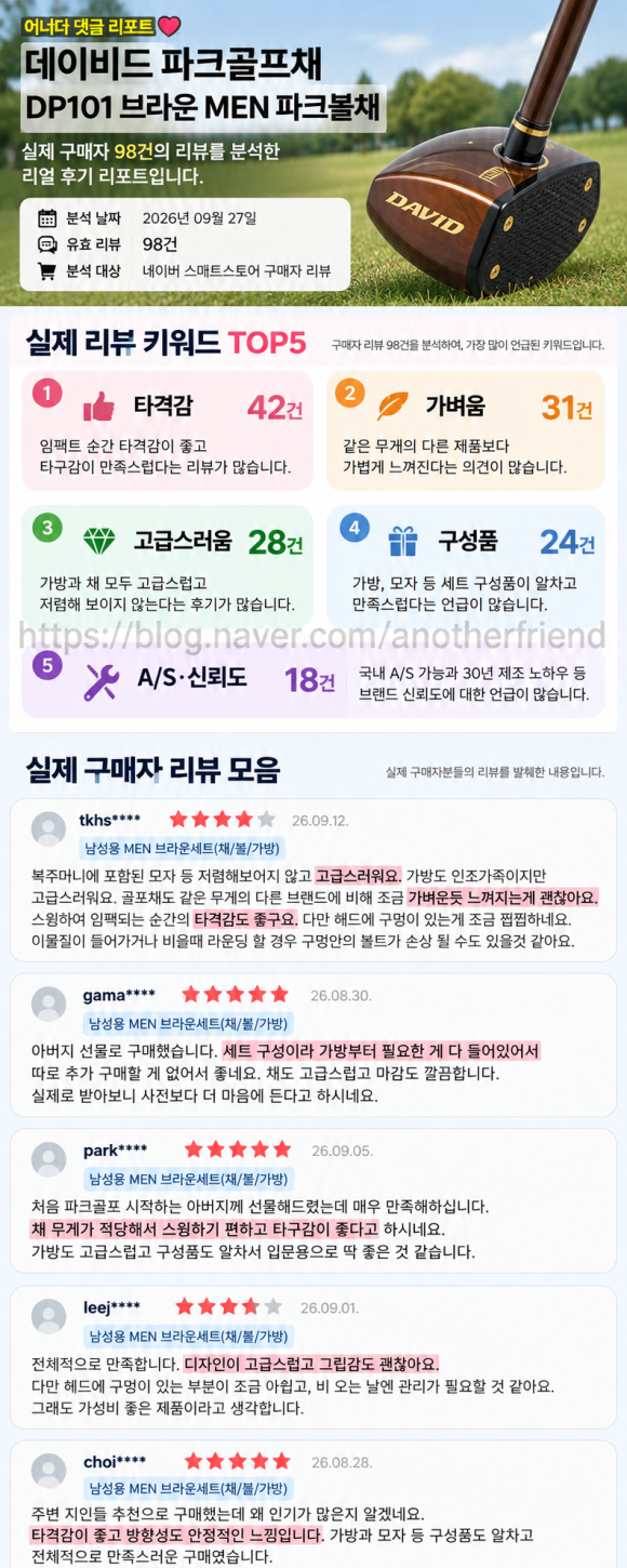 데이비드 파크골프채 DP101 브라운 MEN 후기·장단점·가격 확인과 입문용 구매판단
